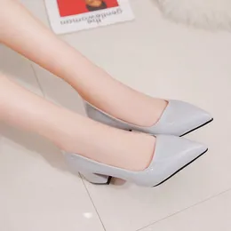 Dress Shoes Style Pointed Sexy Thick Heel Solid Colour Fashion Versatile Wedding Banquet Celebrity Talon