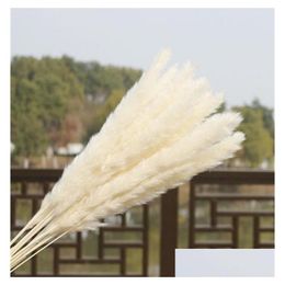 Decorative Flowers Wreaths Us Stock 30Pcs Natural Dried Pampas Grass Reed Home Wedding Flower Bunch Decor Outdoor Pink Decor257344 Dhchk