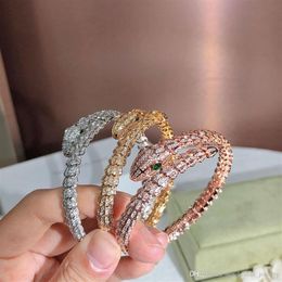 Golden Full drill snake Lady Bracelet Personality fashion Trend Women's Bracelets Twinkle Dance party Gift givi297z
