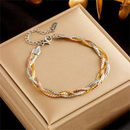 Link Bracelets 316L Stainless Steel Hip Hop Fried Dough Twists Weave Horsewhip Chain For Women Fashion Fine Jewellery Gift SAB523