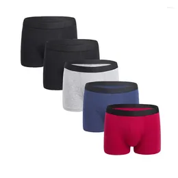 Underpants 4Pcs Cotton Boxers For Men Underwear Fashion Solid Color Sport Male Boyshorts Panties Plus Size Mid Waist Elastic