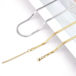 Choker Cool Titanium Steel Necklace Silver Gold Color High-end Sense Men Women Bone Chain Clavicle Non-fading Jewelry