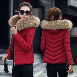 Women's Trench Coats Fashion Winter Short Large Size Faux Fur Collar Cotton Female Coat Plus Women Overcoat Thick Parka Girl Hooded 4xl 5xl