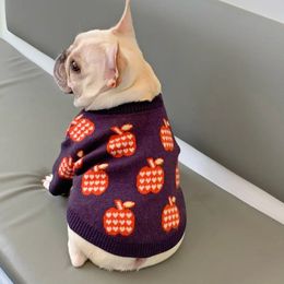 Dog Apparel Purple Dog Sweaters for Small Dogs Autumn Outdoor Leisure Warm Designer Dog Clothes Schnauzer Pug French Bulldog Pet Clothes 231016