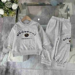 Luxury Autumn set for kids Dirty resistant Grey baby Tracksuits Size 100-160 CM Round neck sweater and Elastic waist pants Oct15