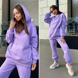 Women's Hoodies Women Autumn Tracksuit Solid Colour Loose Elastic Waist Thick Hooded Warm Pocket Cuff Deep Crotch Winter Hoodie Pants Set