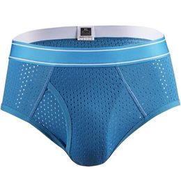 Men Underwear Mesh Holes Qucik Dry Sexy Briefs Breathable Thin Mens Slips Cueca Male Panties Underpants Gay Man288O