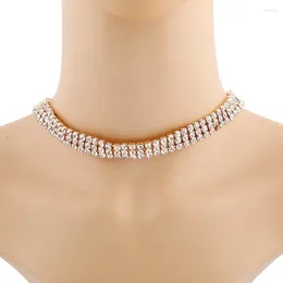 Choker Fashion Crystal Necklaces For Women Charms Statement Necklace Girls Gift Collares & Pendants