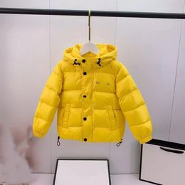 baby girl clothes baby clothes kid down coat girl boy hooded kids hoodies design pink child jacket 100% goose down filling top luxury brand fasion outwear
