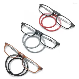 Sunglasses Portable Reading Glasses That Can Be Hung Around The Neck With Adjustable Lanyard For Men And Women