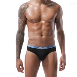 Underpants Style Men's Underwear Solid Colour Modal Double-layer U Convex Large Bag Fashion Young Men Sexy Comfortable Briefs