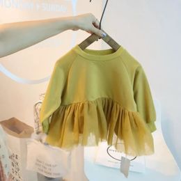 Bluza pullover kołnierz O Neck-line koronkowy bawełnę bawełniał solidny miękki prosty czysty moda swobodna wygodna jesień dziewczyny dzieci 231018