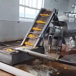 Dostosowywanie urządzeń do przetwarzania do pełnego zestawu linii produkcyjnej brzoskwini w puszkach za pomocą maszyny do obierania Huangtao Linalkali