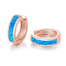 Hoop Earrings European And American Retro French Geometric Platinum-plated Girls Small Circle Opal