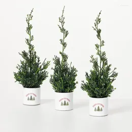 Decorative Flowers Potted Cypress Trio Multicolor 12"H Set Of 3