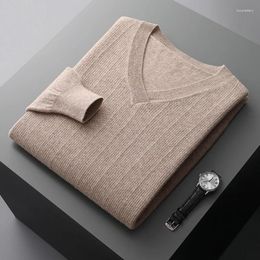 Men's Sweaters Cashmere Sweater In Autumn And Winter V-neck Plus Size Pullover Pure Wool Jacquard Warm Top Youth