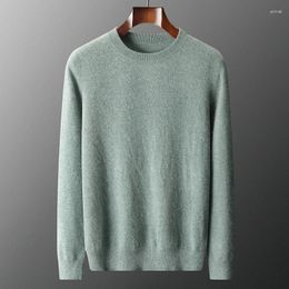 Men's Sweaters Soft Warm Men Pure Cashmere Knitted Jumpers Oneck Full Sleeve Pullovers Solid Colour Male Clothes