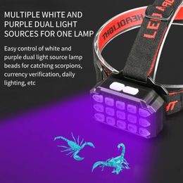 Outdoor Gadgets LED Headlamp UV Torch USB Rechargeable Head Lamp Pet Stains Checker Outdoor Headlight Waterproof Scorpion Hunting Headlights 231018