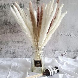 Decorative Flowers Natural Dried Pampas Grass About 17 Inch/44 Cm White Boho Decor Bouquet For Beautiful Bedroom Table Nunny Tail