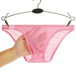 Underpants Men's Erotic Lingerie Swimwear Sexy Bikini Smooth Underwear See Through Silky Briefs Low Rise Elastic Beachwear