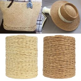 Fabric and Sewing 280 Metre Colourful Threads Natural Raffia Straw Yarn For Bag Handbag Cushion Basket Hat Knitting Material Crochet Handcraft 231017