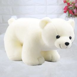 Plush Dolls 25cm Lovely White and Brown Polar Bear Toys Cute Soft Stuffed Animal Kids Birthday Gift 231018