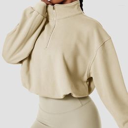 Women's Hoodies 2023 Autumn Winter Turtleneck Sweatshirt Sport Women Outdoor Zipper Loose Cropped Top Oversized Long Sleeve Running Gym