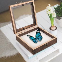 Frames Butterfly Specimen Display Box Wood Insect Showcase Butterflies Holder Vintage Frame Container Shelf