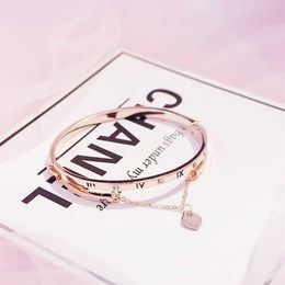 Gold Whole- Stainless Rose Steel Bracelets Bangles Female Heart Forever Love Brand Charm Bracelet For Women Famous Jewelry259v