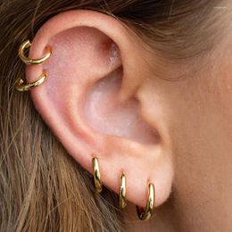 Hoop Earrings Simple Stainless Steel Women Tragus Piercing Septum Smooth Gold Colour Cartilage Hoops Ear Accessories Jewellery Gift