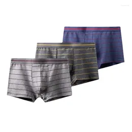 Underpants Cotton Men's Boxers Underwear Stripe Elastic Sports Boxer Men