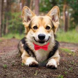 Dog Collars POPETPOP Pet Collar Adjustable Red Dot Bow Tie Lightweight Snap Buckle Bow-knot For Cat