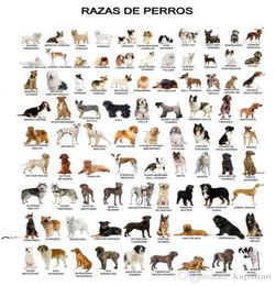 Animal Poster The Dog Poster Home Decor Wallpaper Art Posters Print Popaper 16 24 36 47 inches1296641