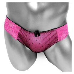 Underpants Lace Briefs See Through Panties For Sissy Sexy Lingerie Gay Male Brief Underwear Slim Low Rise Bikini