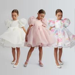 Girl Dresses Fashion Princess Vintage Dress Tulle Child Vestido Puff Sleeve Pink Wedding Party Birthday Tutu Clothes 1-10Y