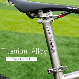 TiTo Titanium Alloy Bike Seatpost for MTB/Road Bicycle Seat Post 27.2/31.6mmx350mm Titanium Seat Tube Aluminium Head+Titanium Rod