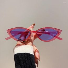 Sunglasses KAMMPT Vintage Cat Eye Women Fashion Candy Colour Outdoor Shades Trendy Brand Designer Summer Travelling Eyewear