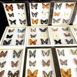 Decorative Figurines Butterfly Specimen Educational Material Collection Po Frame Artwork Christmas Gifts Wedding Party Home Decoration