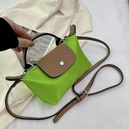 Evening Bags Luxury Women Shoulder Bag High-end Nylon Handbags Purses Designer Female Hobos Fashion Lady Mini Crossbody