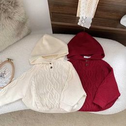 Women's Sweaters 2023 Winter Baby Girls Christmas Hooded Pullover Sweater Baby Girl Winter ClothesL231020