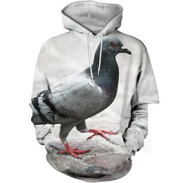 Customised Tees & Polos Dove Grey Men's casual baseball suit 3D digital printed pigeon series sweater