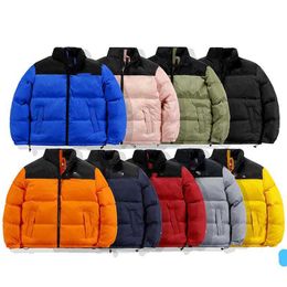 2023 Mens Designer Down Jacket north Winter Cotton womens Jackets Parka Coat face Outdoor Windbreakers Couple Thick warm Coats Tops Outwear Multiple Colour111