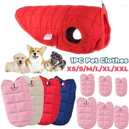 Dog Apparel Pullover For Pets Clothes Pet Ball Sportswear Puppy Shirt Cat Autumn And Winter XS-XXL