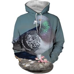 Customized Tees & Polos Dove Grayish Green Men's casual baseball suit 3D digital printed pigeon series sweater