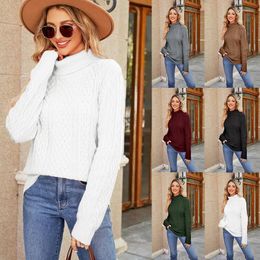 Women's Sweaters Explosive Turtleneck Twist Sweater Autumn And Winter Top Temperament Undershirt