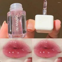 Lip Gloss Mirror Water Tubes Transparent Glass Plump Oil Waterproof Nude Brown Liquid Lipstick Tint Makeup Korean Cosmetics