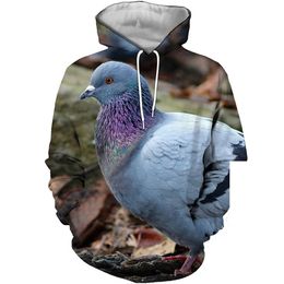 Customised Tees & Polos Fat pigeon print Men's casual baseball suit 3D digital printed pigeon series sweater