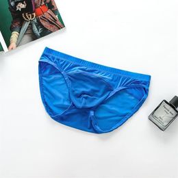 Underpants Mens Sexy Underwear Briefs Thin Elasticity Low Waist Breathable Transparent Mesh Lingerie Male Panties F1304284a