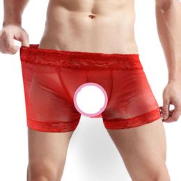 Underpants Mens Solid Color See Through Mesh Sissy Boxer Briefs Low Rise Lace Trim Underwear Breathable High Stretchy Panties