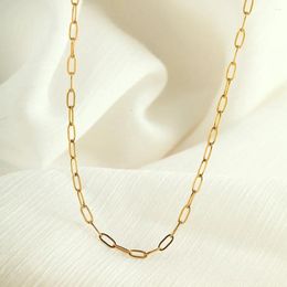Chains Stainless Steel Chain Gold Colour Silver Necklace For Women Collar Link Fashion Versatile Jewellery Free Shopping